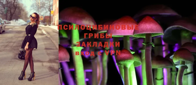 Галлюциногенные грибы Psilocybine cubensis  Алексеевка 